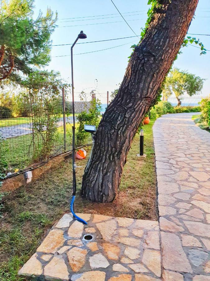 Makis&Fani Homes Agios Ioannis  Dış mekan fotoğraf